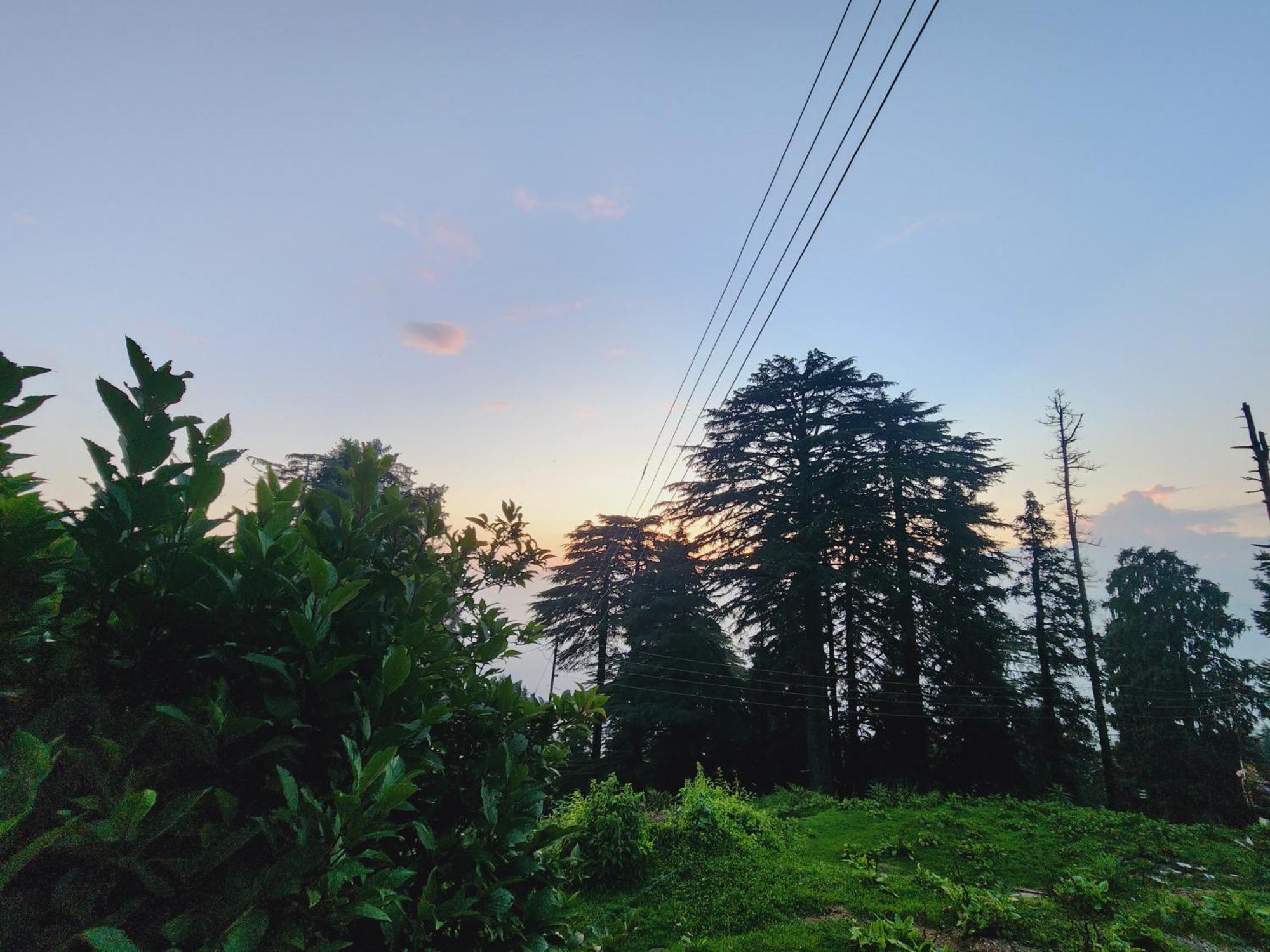 Forest Vibes Kalatop-Rooms And Restaurant Dalhousie Zewnętrze zdjęcie