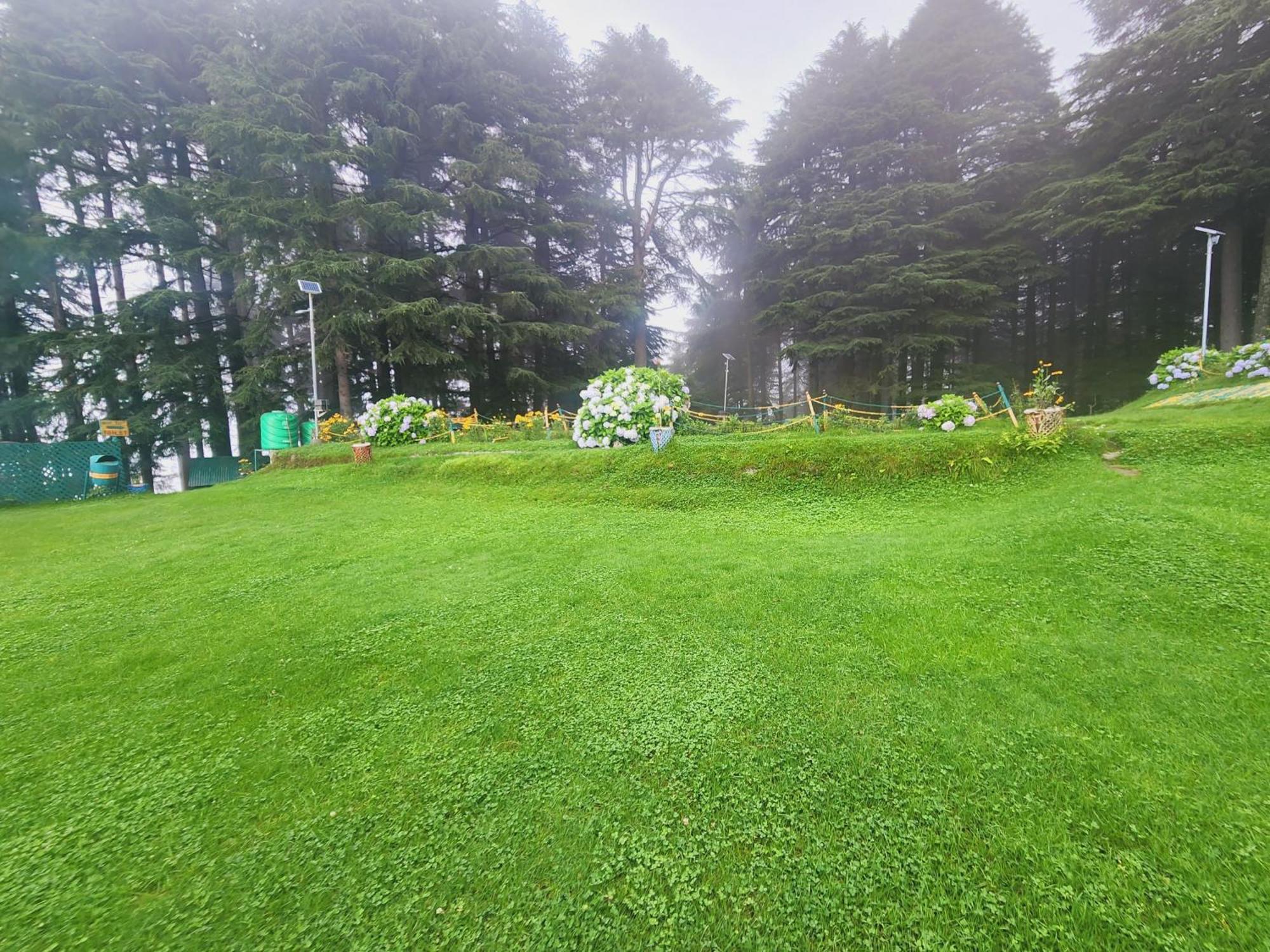 Forest Vibes Kalatop-Rooms And Restaurant Dalhousie Zewnętrze zdjęcie