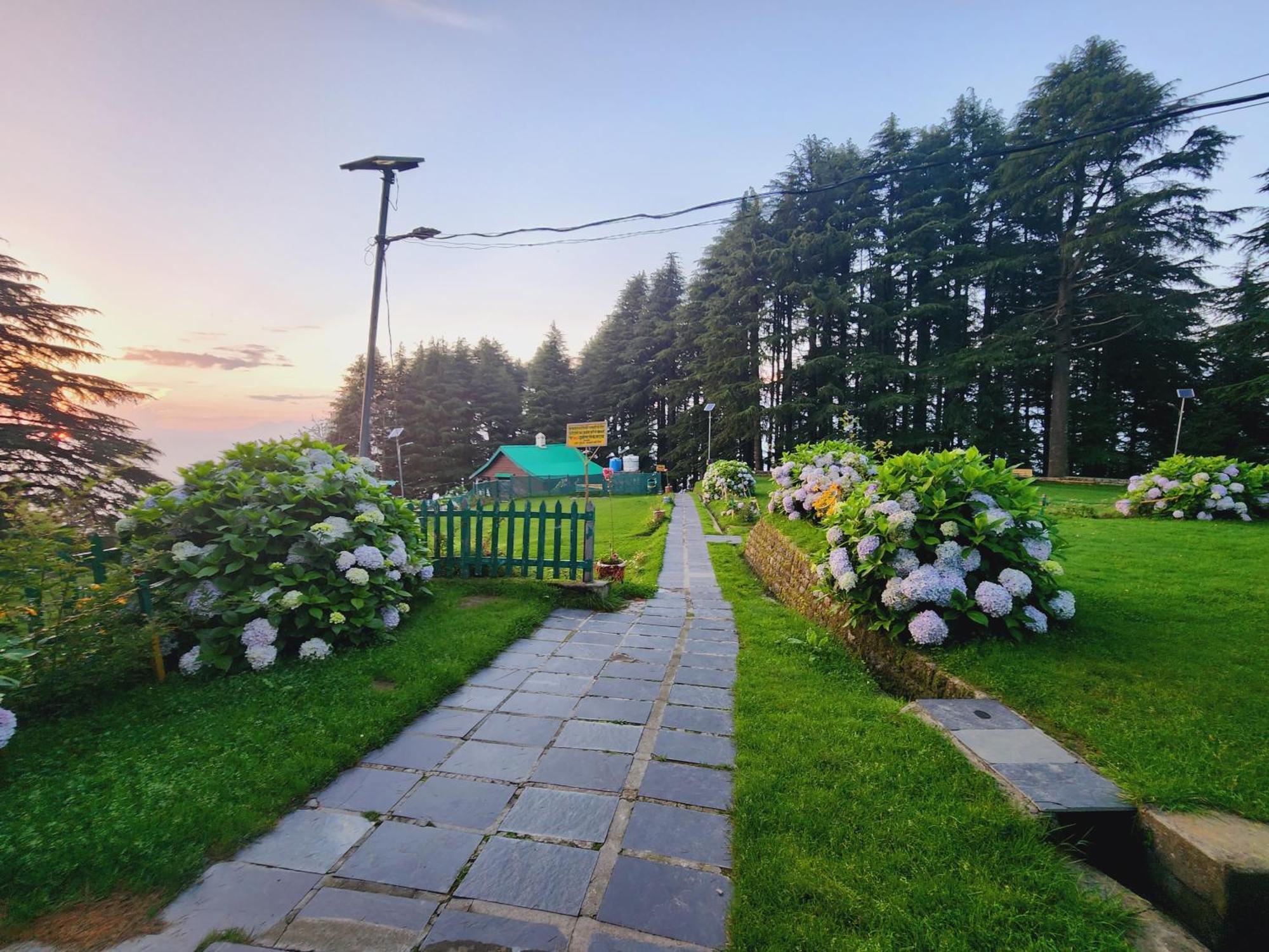 Forest Vibes Kalatop-Rooms And Restaurant Dalhousie Zewnętrze zdjęcie