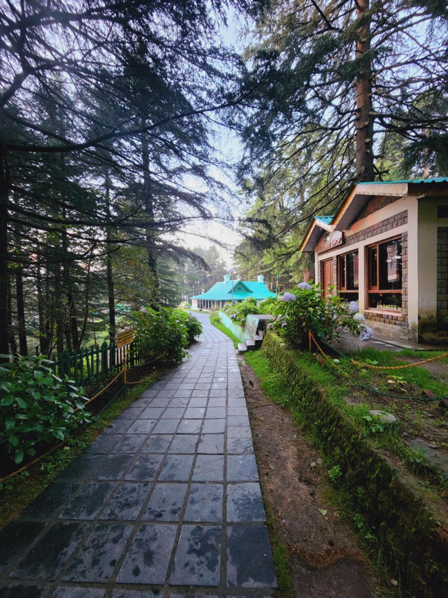Forest Vibes Kalatop-Rooms And Restaurant Dalhousie Zewnętrze zdjęcie